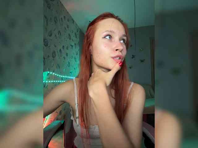 Armura webcam