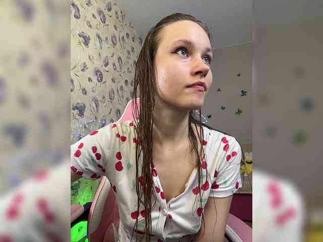 Armura webcam