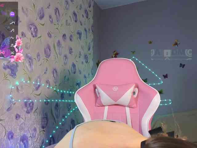 Armura webcam