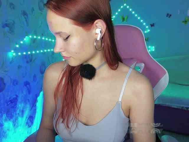 Armura webcam