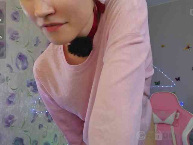 Armura webcam