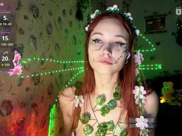 Armura webcam