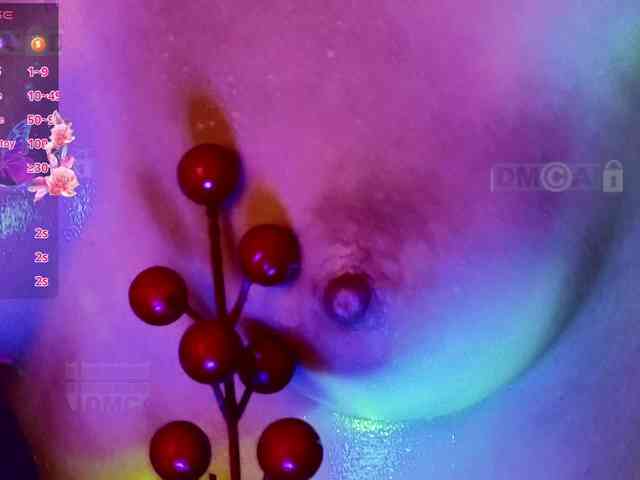 Armura webcam