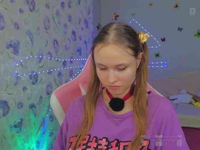 Armura webcam