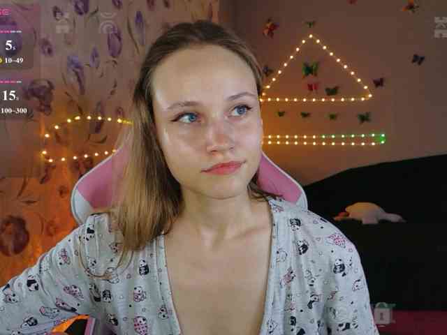 Armura webcam