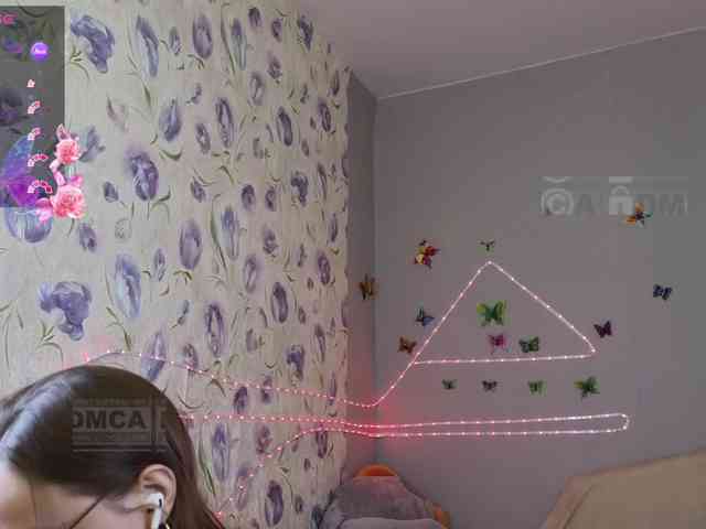 Armura webcam