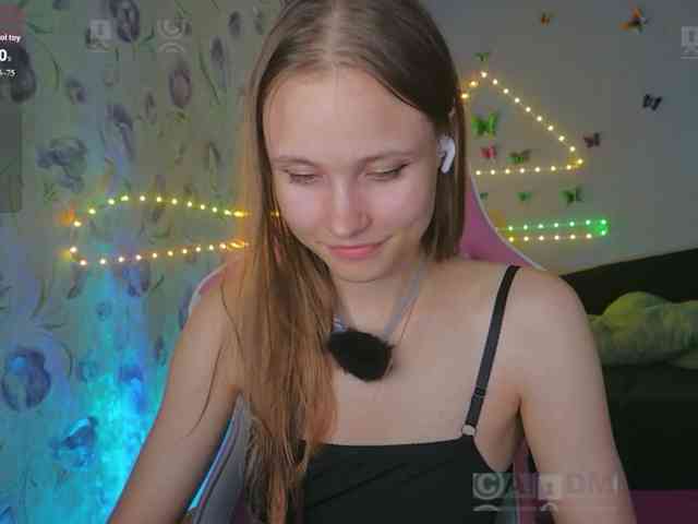 Armura webcam
