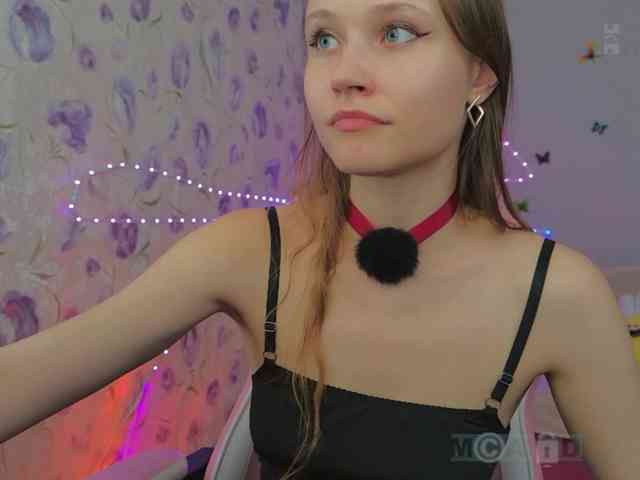 Armura webcam