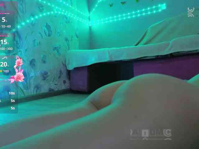 Armura webcam