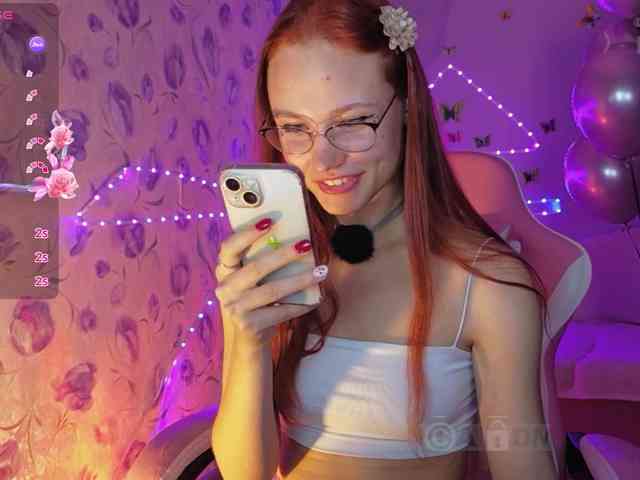 Armura webcam