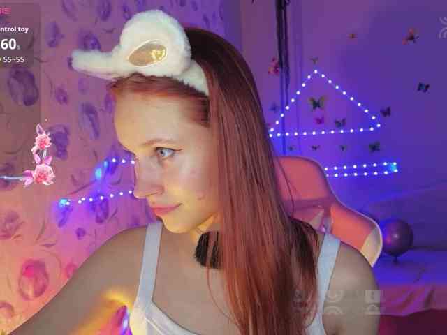 Armura webcam