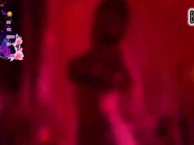 Armura webcam