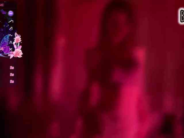 Armura webcam
