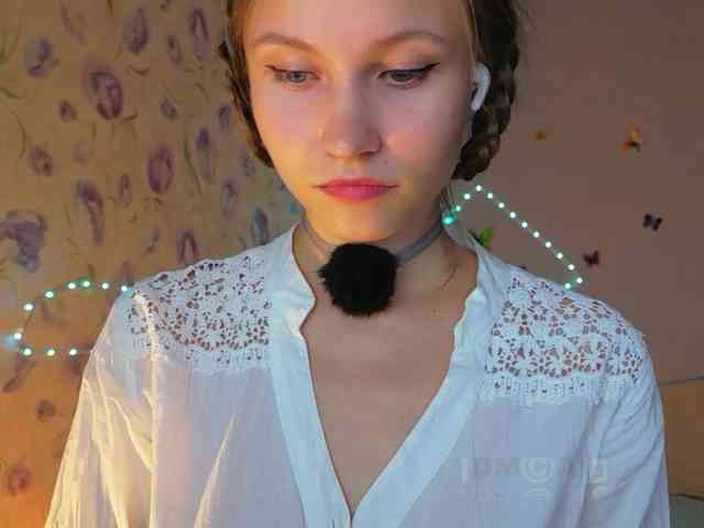 Armura webcam