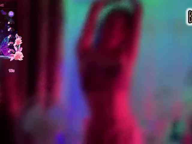 Armura webcam