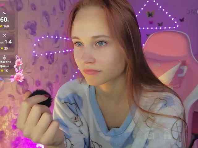 Armura webcam