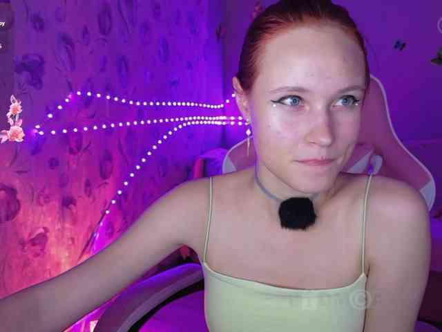 Armura webcam