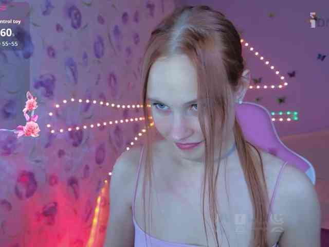Armura webcam