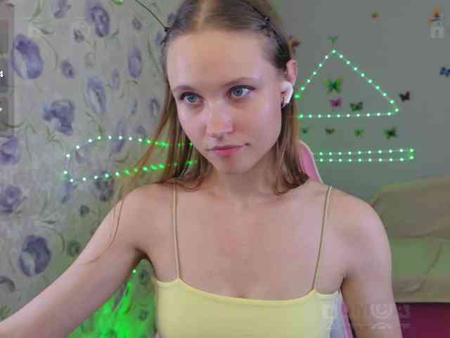 Armura webcam