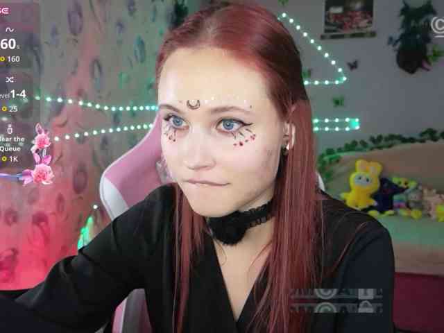 Armura webcam
