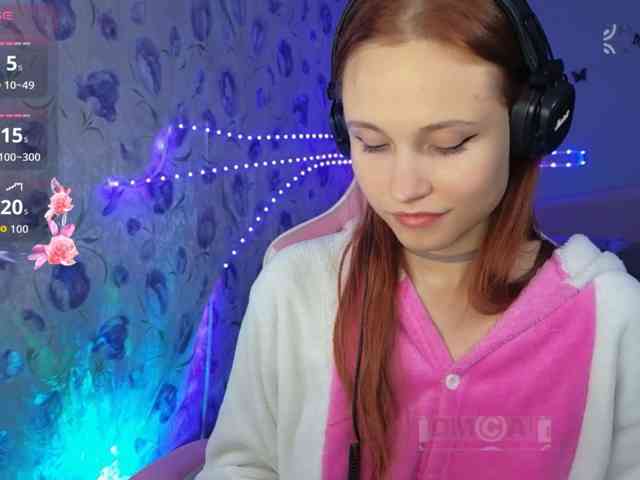 Armura webcam