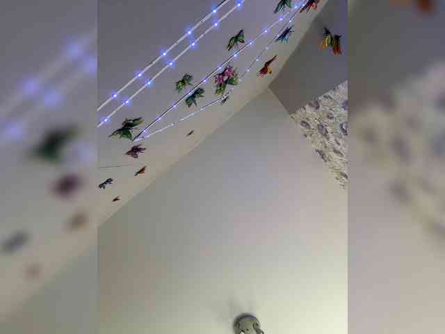 Armura webcam