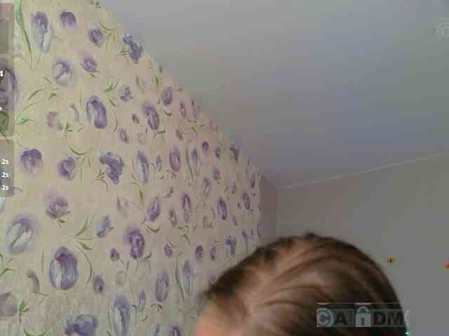 Armura webcam