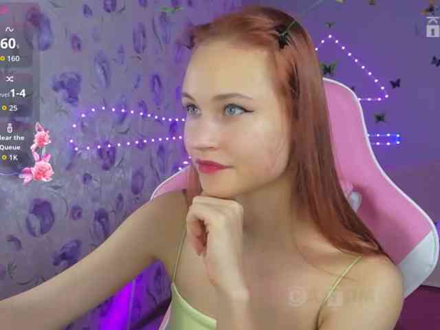 Armura webcam