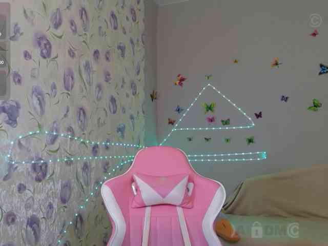 Armura webcam