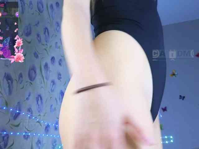 Armura webcam