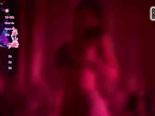 Armura webcam
