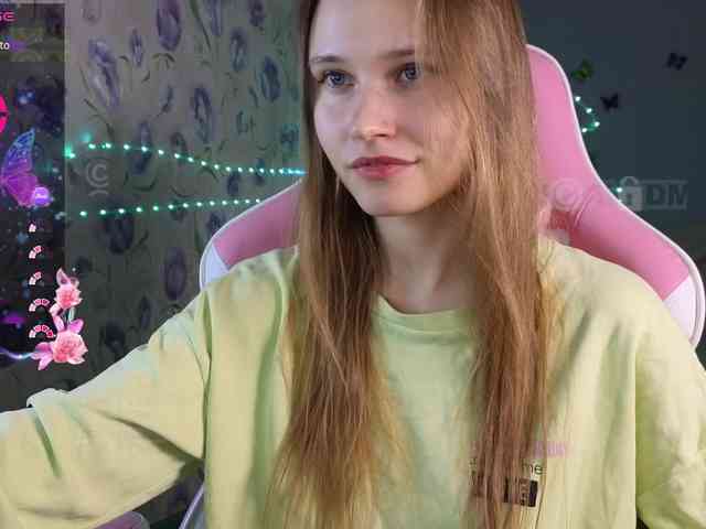 Armura webcam