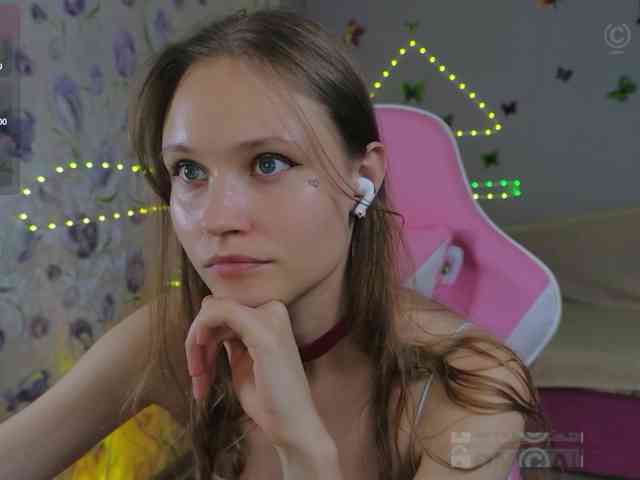 Armura webcam