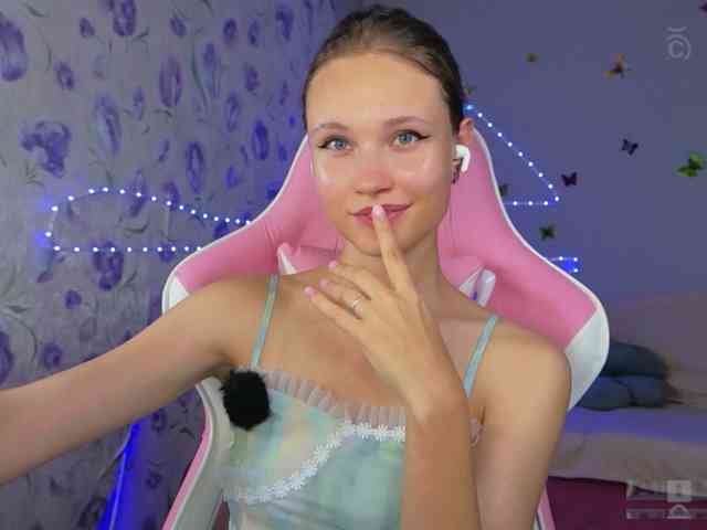 Armura webcam