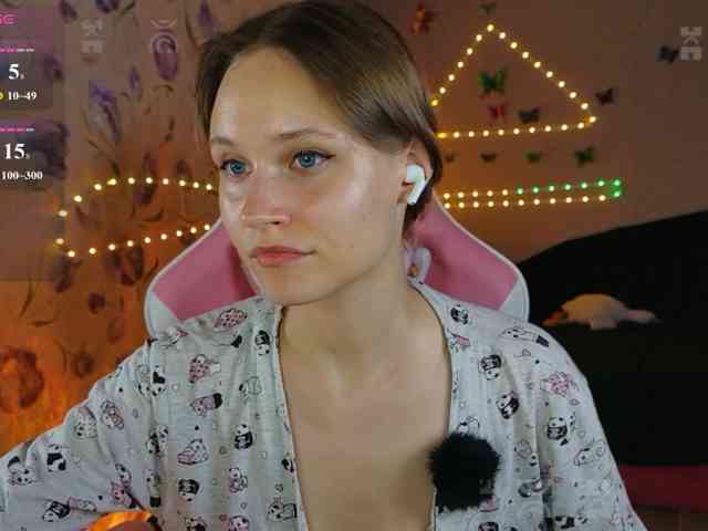 Armura webcam