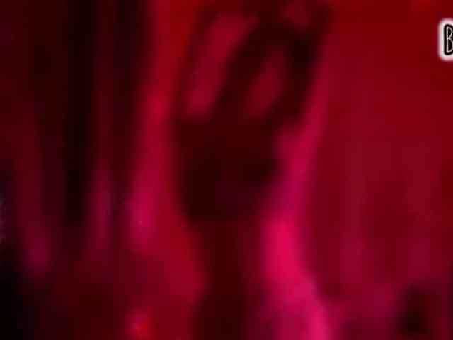 Armura webcam