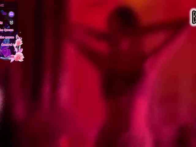 Armura webcam