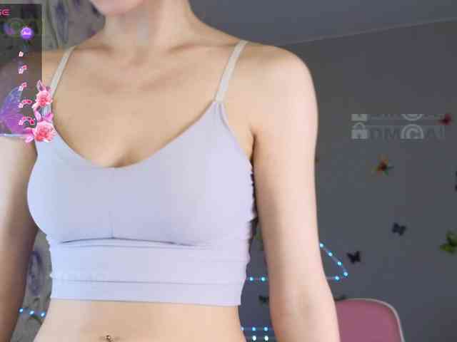 Armura webcam