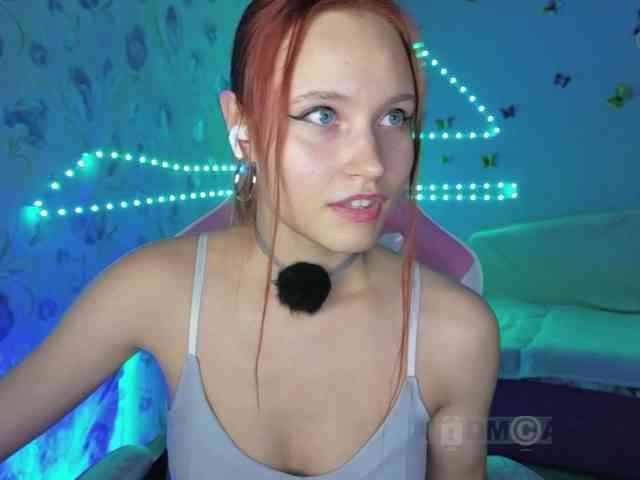 Armura webcam