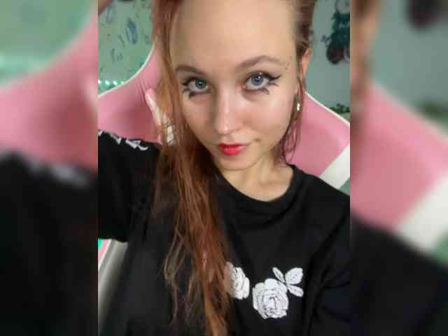 Armura webcam