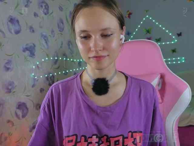Armura webcam