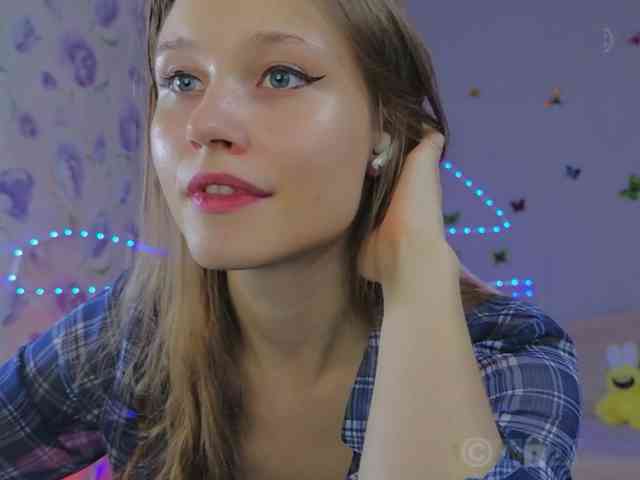 Armura webcam
