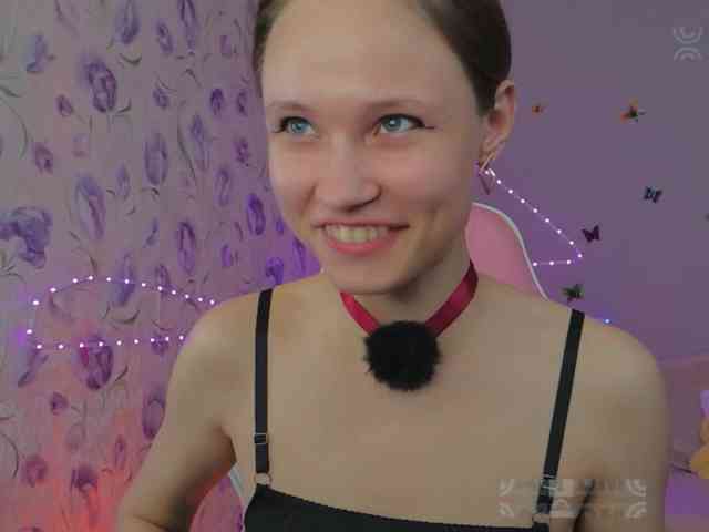 Armura webcam