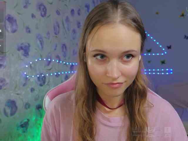 Armura webcam