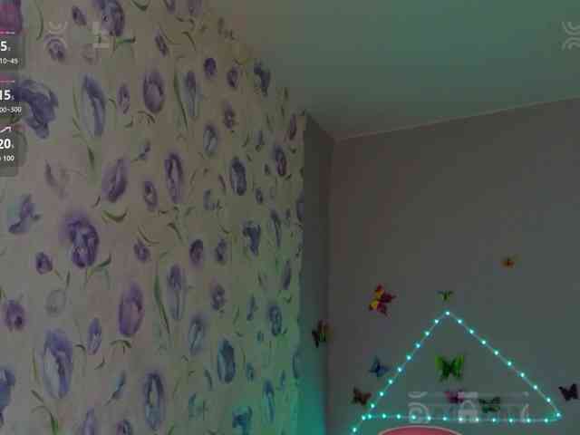 Armura webcam