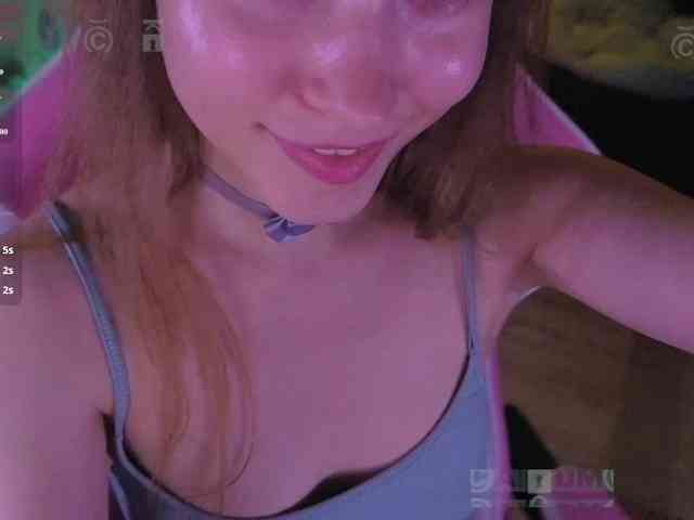 Armura webcam