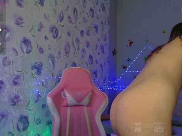 Armura webcam