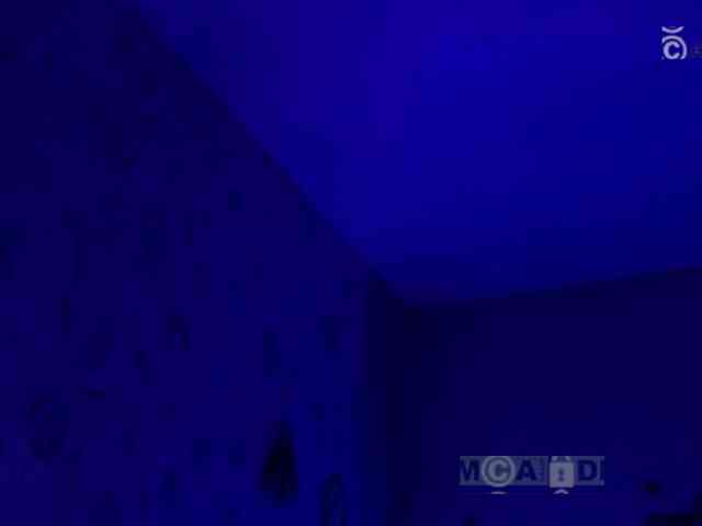 Armura webcam