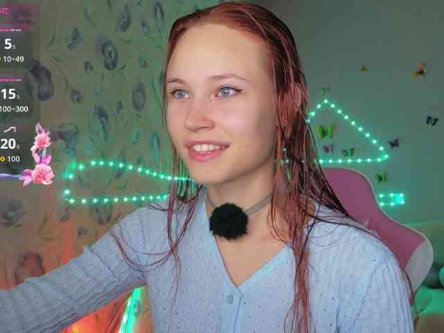 Armura webcam