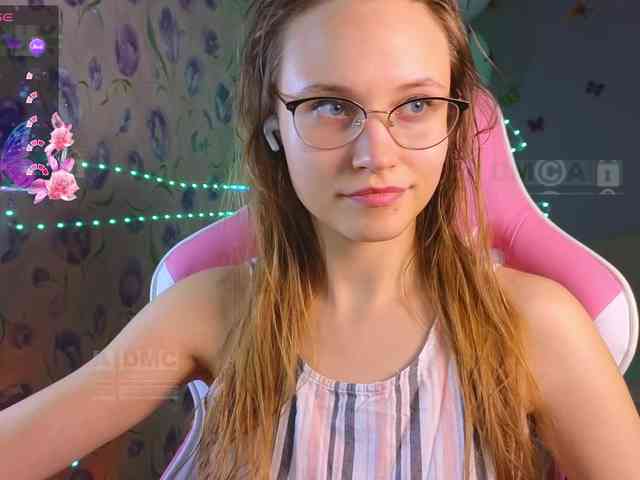 Armura webcam